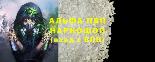 гашик Аркадак