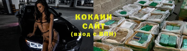 трава Армянск