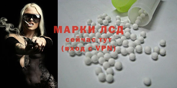 гашик Аркадак