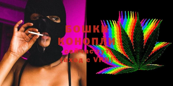 гашик Аркадак
